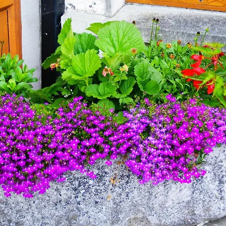 Rockville House Bed & Breakfast 3*