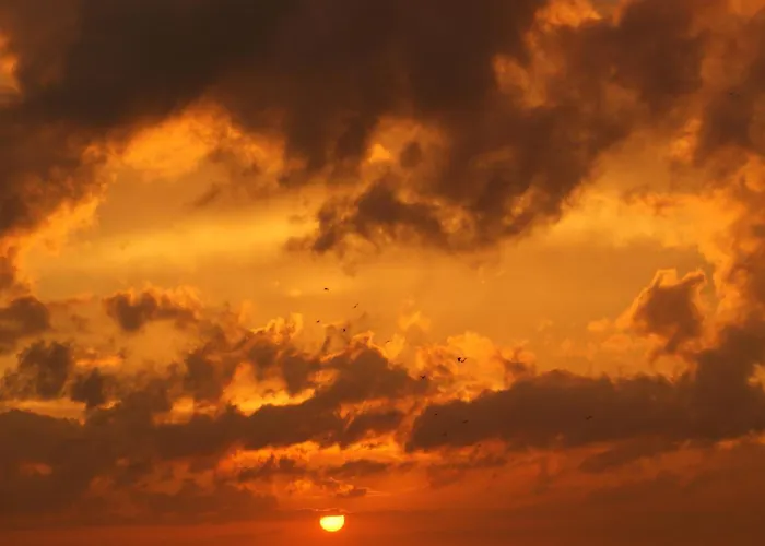 Bed & Breakfast Rockville House 3*