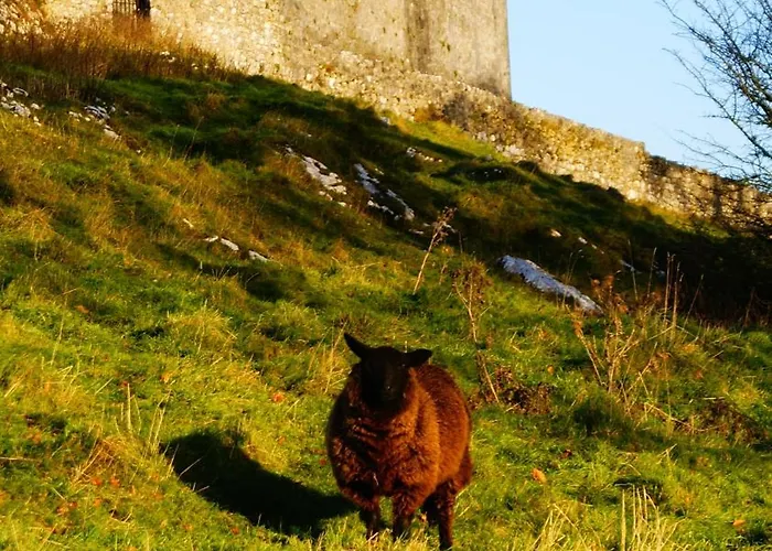 Bed & Breakfast Rockville House