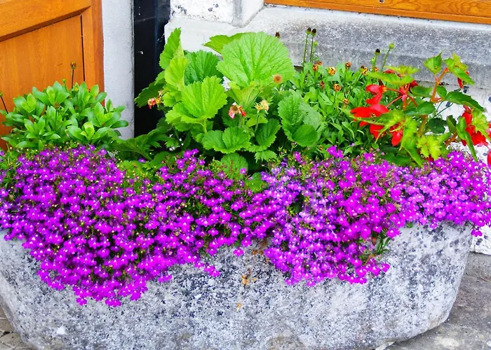 Rockville House Bed & Breakfast 3*