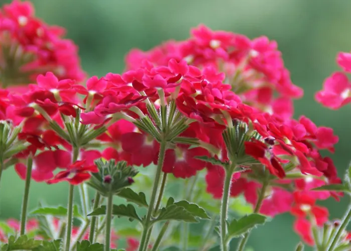 Rockville House Bed & Breakfast